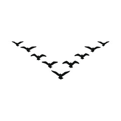 A flock of birds flying in a V-shaped formation against a white background.