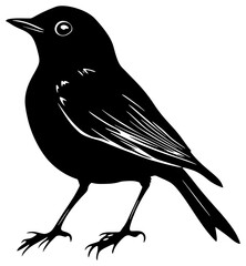 Robin bird silhouette drawing