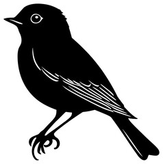 Robin bird silhouette drawing