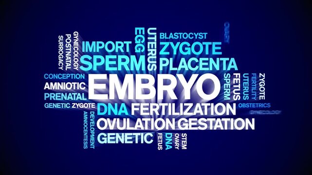 Embryo animated word cloud-text design animation tag kinetic typography seamless loop.