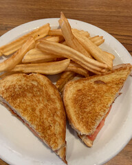 Close up of club sandwich with French fries.