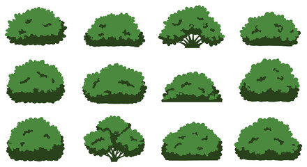 Collection of various green bushes and shrubs in different shapes and sizes