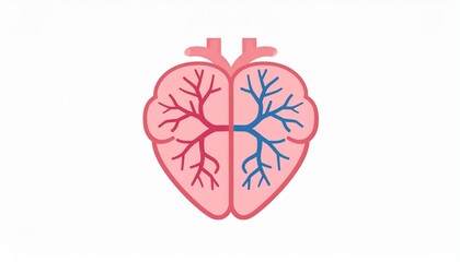 Vector illustration of lungs in a heart shape symbolizing the vital connection between the respiratory and circulatory systems.