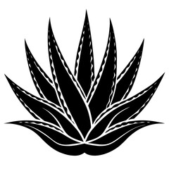 Black Silhouette of an Aloe Vera Plant with Detailed Leaf Patterns succulent greenery