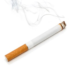 Animals and colorful image design 