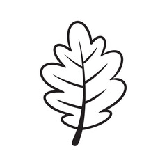 hand drawn cartoon leaves autumn seasonal illustration