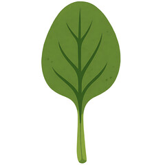 Spinach