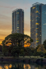 Obraz premium 都心散歩 浜離宮の夕暮れ