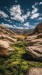 Lush green moss thrives in a rocky, sun-drenched valley
