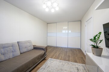 bright living room with a gray sofa, a sliding-door wardrobe, a plant, and a rug on a wooden floor. A modern chandelier lights the space