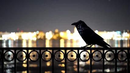 Majestic Black Raven Perched on a Decorative Fence at Night with Shimmering City Lights Reflecting on the Water Corvus Corax in a Serene Urban Wildlife Setting With an Eye Level View - Powered by Adobe