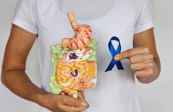 Understanding digestive health with model of the human digestive system and awareness ribbon - Powered by Adobe