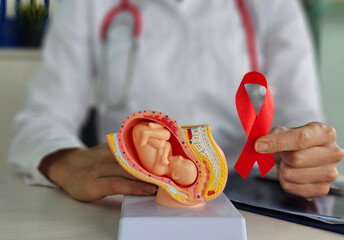 Medical professional discussing maternal health and HIV awareness with model of a fetus and a red awareness ribbon