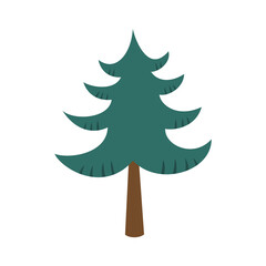 Simple pine tree isolated on a white background.