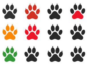 Different animal paw print vector illustrations