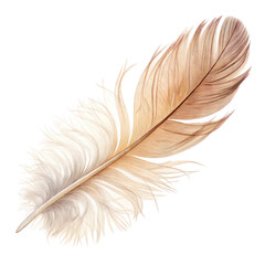 Fototapeta premium Closeup of a Single Brown and White Feather Isolated On Transparent Background