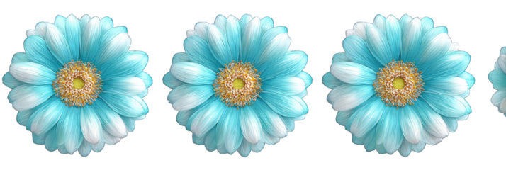 Four light turquoise-colored flowers with white centers and edges