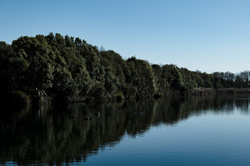 Northbrook Wetland 16th August 2025