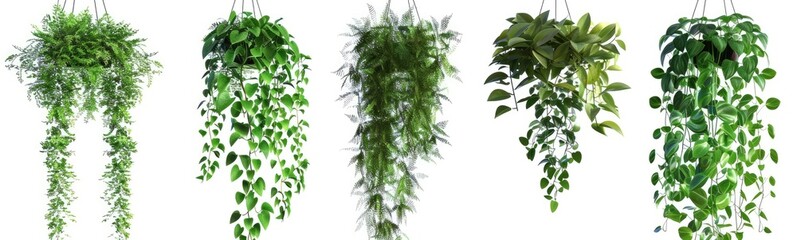 Obraz premium Set of green tropical leaves and plants silhouettes isolated on white background, vector illustration.
