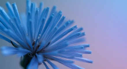 Obraz premium Extreme Close-up of a Delicate Blue Flower with Soft Pastel Background