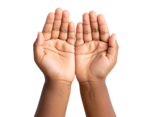 African American Child’s Hands in Prayer Gesture, Top-Down Angle, Isolated on Transparent Background