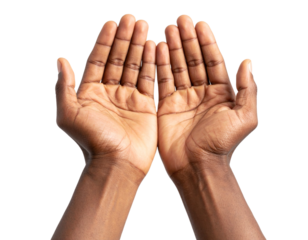 African American Male Hands in Traditional Prayer Pose, Front View, Isolated on Transparent Background