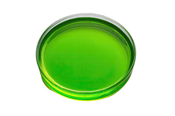 Bright lime-green liquid in a clear glass dish