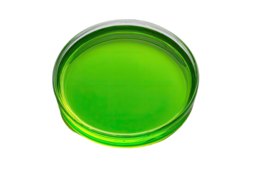Bright lime-green liquid in a clear glass dish