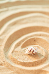 Creative Beach Conch Composition Summer Themed Poster Image