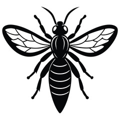 wasp vector
