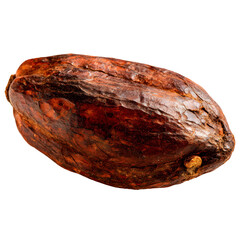 Single cocoa bean close up