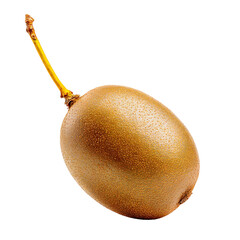 Single golden kiwi fruit studio shot