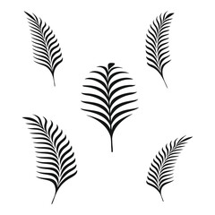 Black Palm Leaf Silhouette Collection