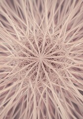 Fototapeta premium Abstract, symmetrical pattern of light pinkish-tan radiating lines. Dense, intricate network of delicate, radiating threads converging on a central point
