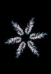 Abstract, symmetrical, light-blue,  floral-like, radiating pattern on black background