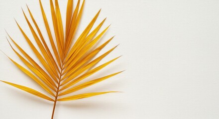 Fototapeta premium Golden Palm Leaf on White Background
