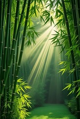 Fototapeta premium 美しい光の竹林の風景