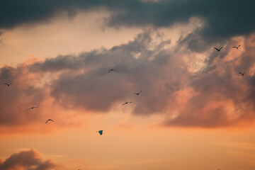 석양에 만난 여주