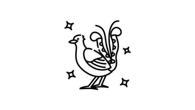 Lyrebird line art animation shows a crested fireback bird surrounded by stars in its display.