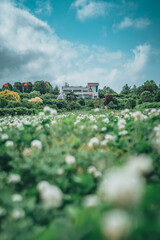 Fototapete bei efototapeten.de bestellen   