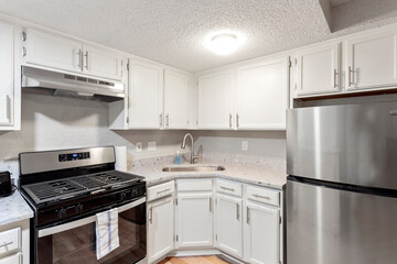 Bright living room interior in modern apartment with large windows
Clean white kitchen with stainless appliances in contemporary condo