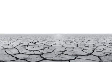 cracked earth in the desert