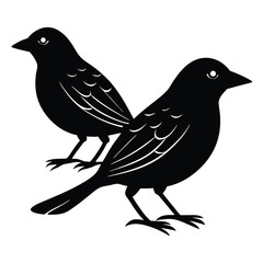 weaver vector birds
