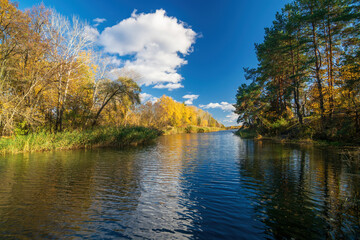 Calm river flowing through colorful autumn forest under blue sky with white clouds reflecting in the water, creating a peaceful and scenic landscape
