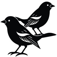 weaver vector birds