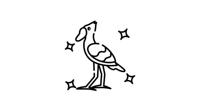animation of Shoebill stork bird icon design