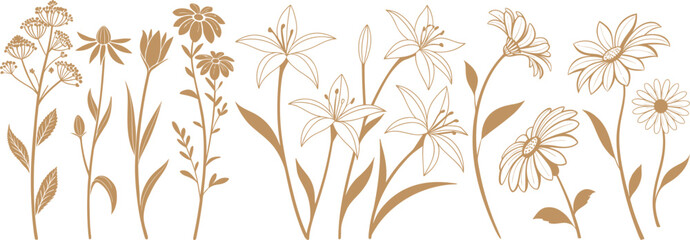 Naklejka premium Stylish floral line art with elegant garden blossoms and delicate botanical outlines. Perfect for modern design, decorative patterns, and minimal illustration projects. Nature inspired artwork vector.