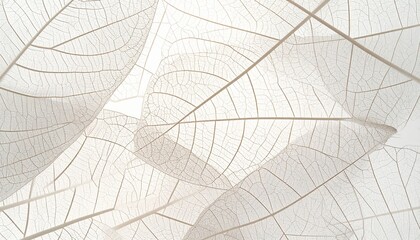 Nature Essence Minimal Patterns