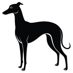 whippet vector