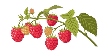 Pixelated Raspberry Branch with Green Leaves and Red Berries on a White Background